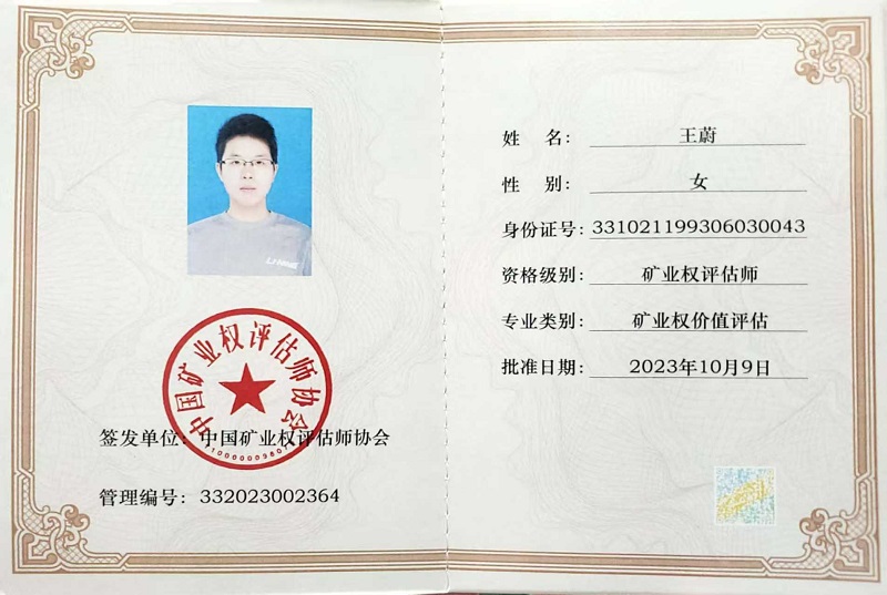 王蔚  矿业权评估师